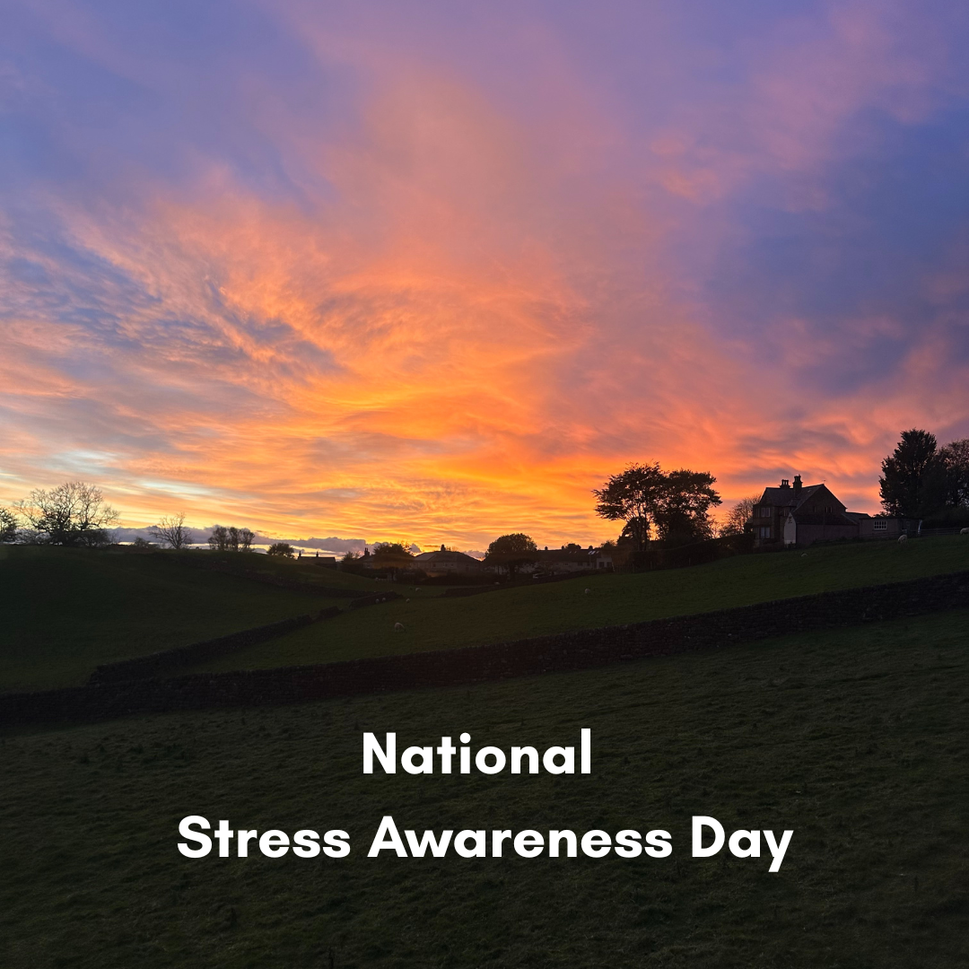 National Stress Awareness Day