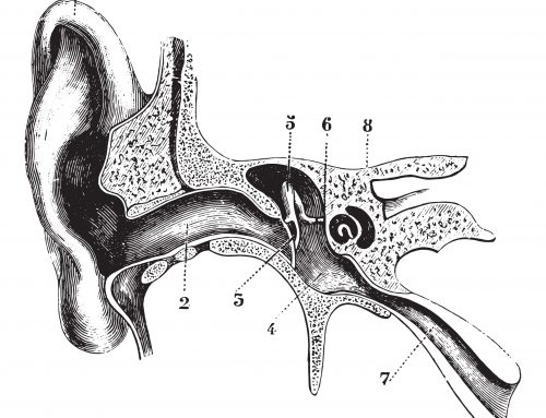 5 Signs You Might Need a Hearing Test
